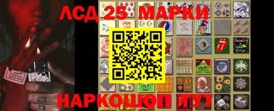 амф Гатчина