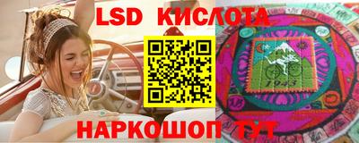 амф Гатчина