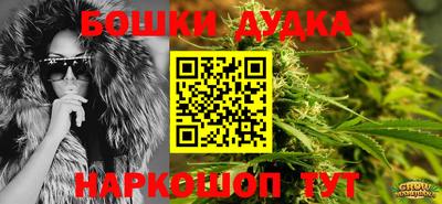 амф Гатчина