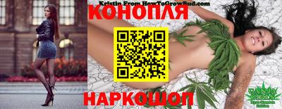 амф Гатчина
