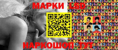 амф Гатчина