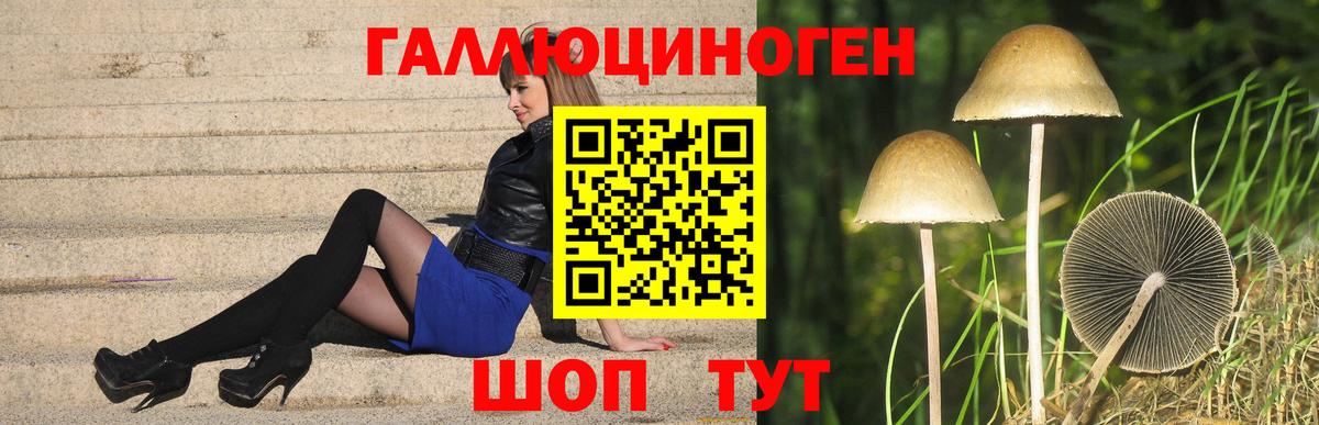 Киржач  Псилоцибиновые грибы Magic Shrooms  Вход с VPN 