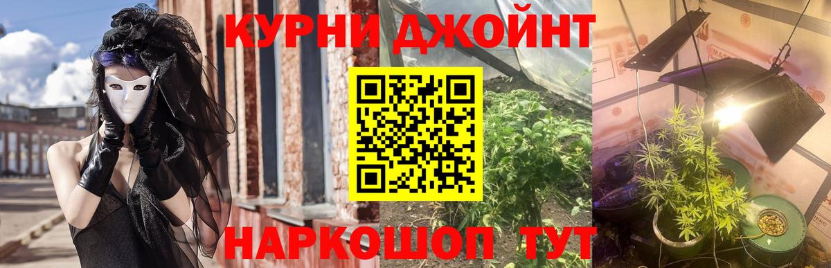 МАРИХУАНА план Киржач